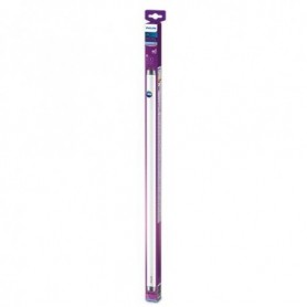 Tub liniar LED Philips T8, G13, 19.5W (54W), 2000 lm, luminarece(6500K), 1500mm