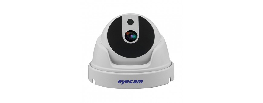 Indoor Surveillance Cameras – Home Monitoring | 1CCTV.ro