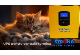 Protejeaza-ti centrala termica in sezonul rece cu UPS Strong Euro Power 1000W 12V 1300VA